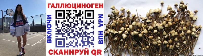 Галлюциногенные грибы MAGIC MUSHROOMS где найти наркотики Артёмовск