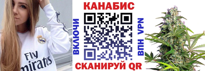 Каннабис OG Kush  Артёмовск 